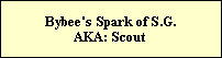 Bybee's Spark of S.G. 
AKA: Scout